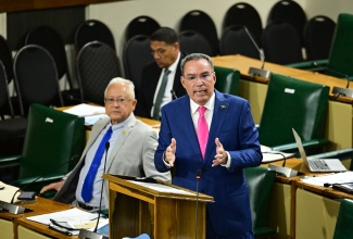 Minister of Energy, Transport and Telecommunications, Hon. Daryl Vaz, makes a statement to the House of Representatives on Tuesday (November 25).