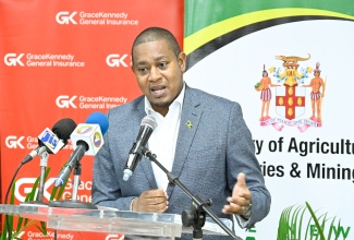 Minister of Agriculture, Fisheries and Mining, Hon. Floyd Green, delivers the keynote address at the handover of $2.88 million to 98 Rural Agricultural Development Authority (RADA) farmers under the Grace Kennedy (GK) Weather Protection Programme, at the Ministry’s Hope Gardens headquarters in Kingston on Wednesday (Nov.12).