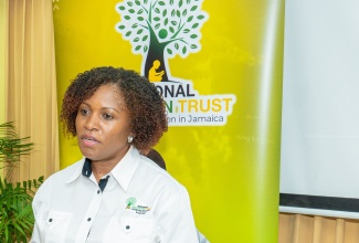National Education Trust (NET) Executive Director, Latoya Harris-Ghartey.

