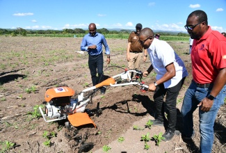 Minister of Agriculture, Fisheries and Mining, Hon. Floyd Green (second right), demonstrates how a walk-behind tractor can be used in ploughing land. The demonstration exercise followed a handover ceremony for walk-behind tractors and earth augers, held on Wednesday (November 26) at the Amity Hall Agro-Park in St. Catherine. The equipment will be distributed in parishes with difficult terrain that were not hard hit by Hurricane Melissa, to assist with the Ministry’s recovery strategy. Observing (from left) are Rural Agricultural Development Authority (RADA) Chief Executive Officer (CEO), Garnet Edmondson, CEO of Agri-Invest Corporation (AIC), Vivion Scully and Agriculture Landscaping and Distribution Manager at Delta Supply Company Limited, Vengsarka Grant.

