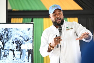 Chief Executive Officer (CEO) with the Coconut Industry Board (CIB), Shaun Cameron.