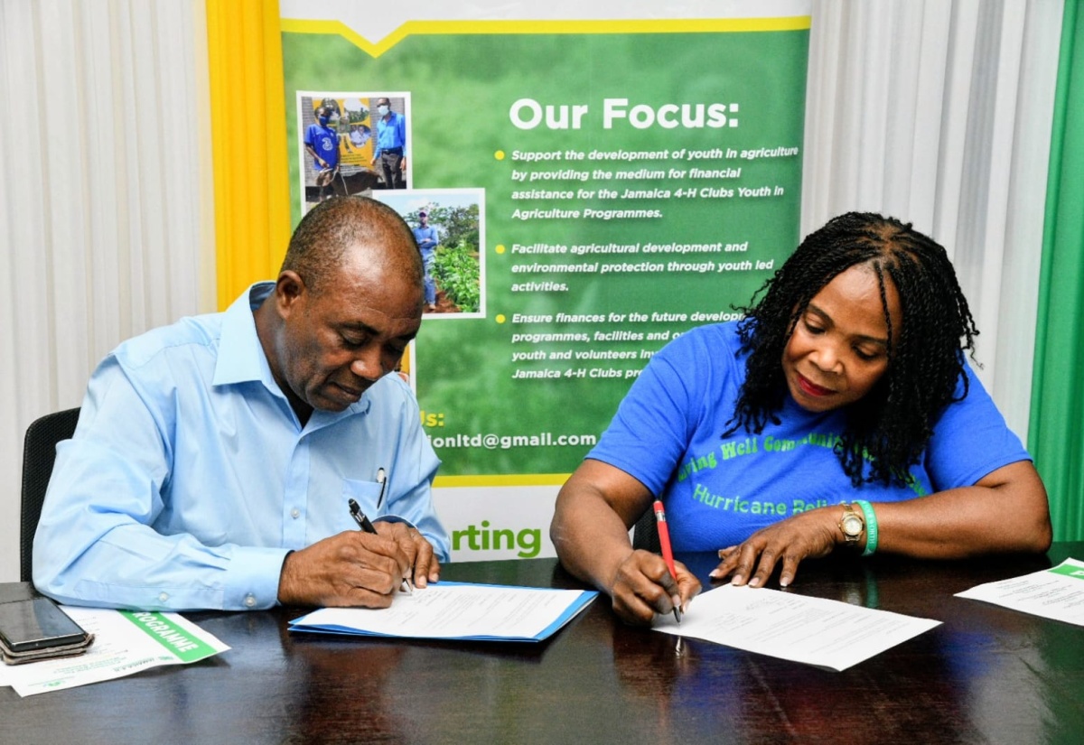 Diaspora Charity Partners With 4-H Foundation to Assist Communities Affected by Hurricane Melissa