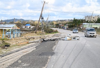Power lines in Esher, Hanover, downed during Hurricane Melissa’s passage on October 28.