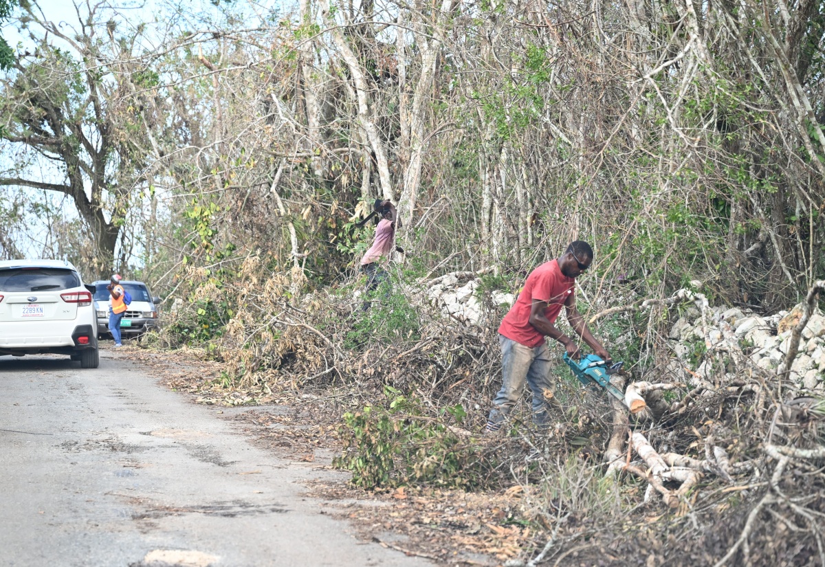 Majority of Trelawny Northern Roadways Cleared Following Hurricane Melissa