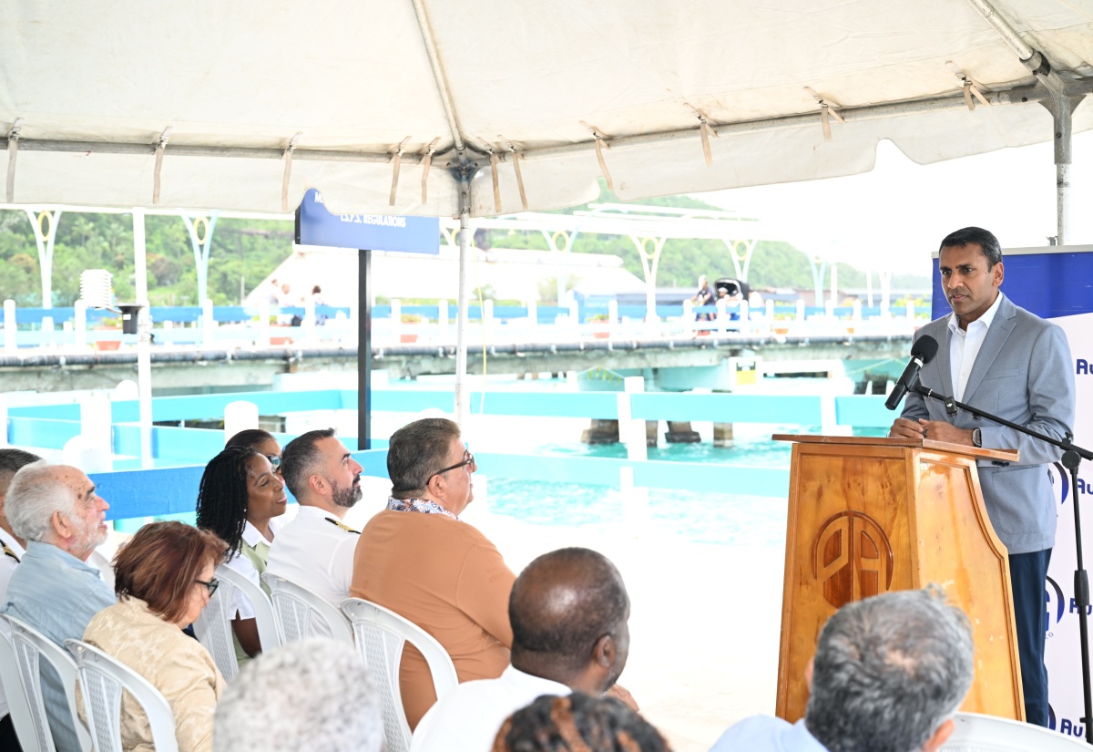 Cruise-Ship Pier In Ocho Rios Expected To Play Vital Role In Recovery Effort