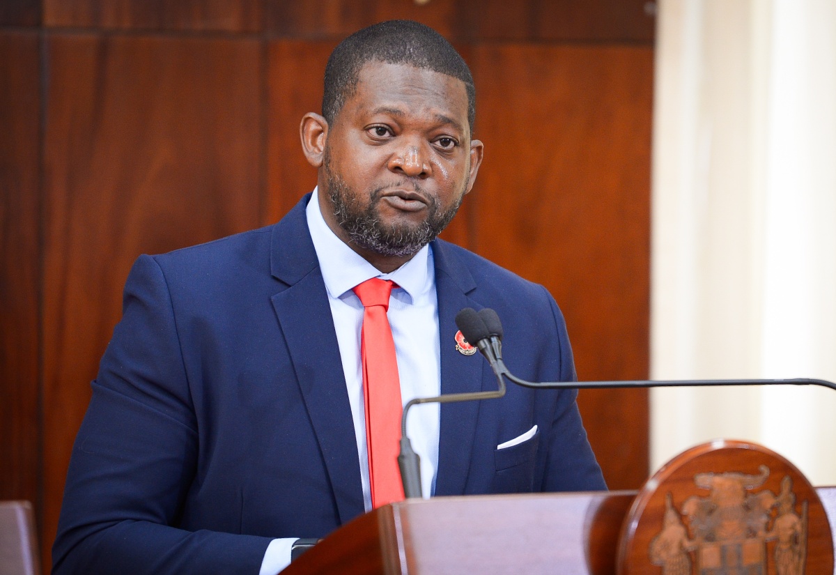 Director General at the Office of Disaster Preparedness and Emergency Management (ODPEM), Commander Alvin Gayle, gives an update on the agency