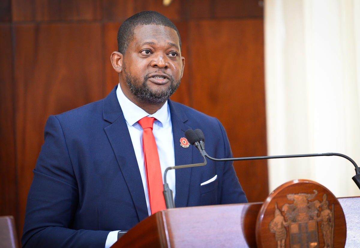 Director General at the Office of Disaster Preparedness and Emergency Management (ODPEM), Commander Alvin Gayle, gives an update on the agency