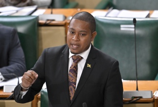 Minister of Agriculture, Fisheries and Mining, Hon. Floyd Green, addresses the House of Representatives on Tuesday (November 11).