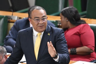Minister of Health and Wellness, Dr. the Hon. Christopher Tufton, addresses the House of Representatives on Tuesday (November 11).