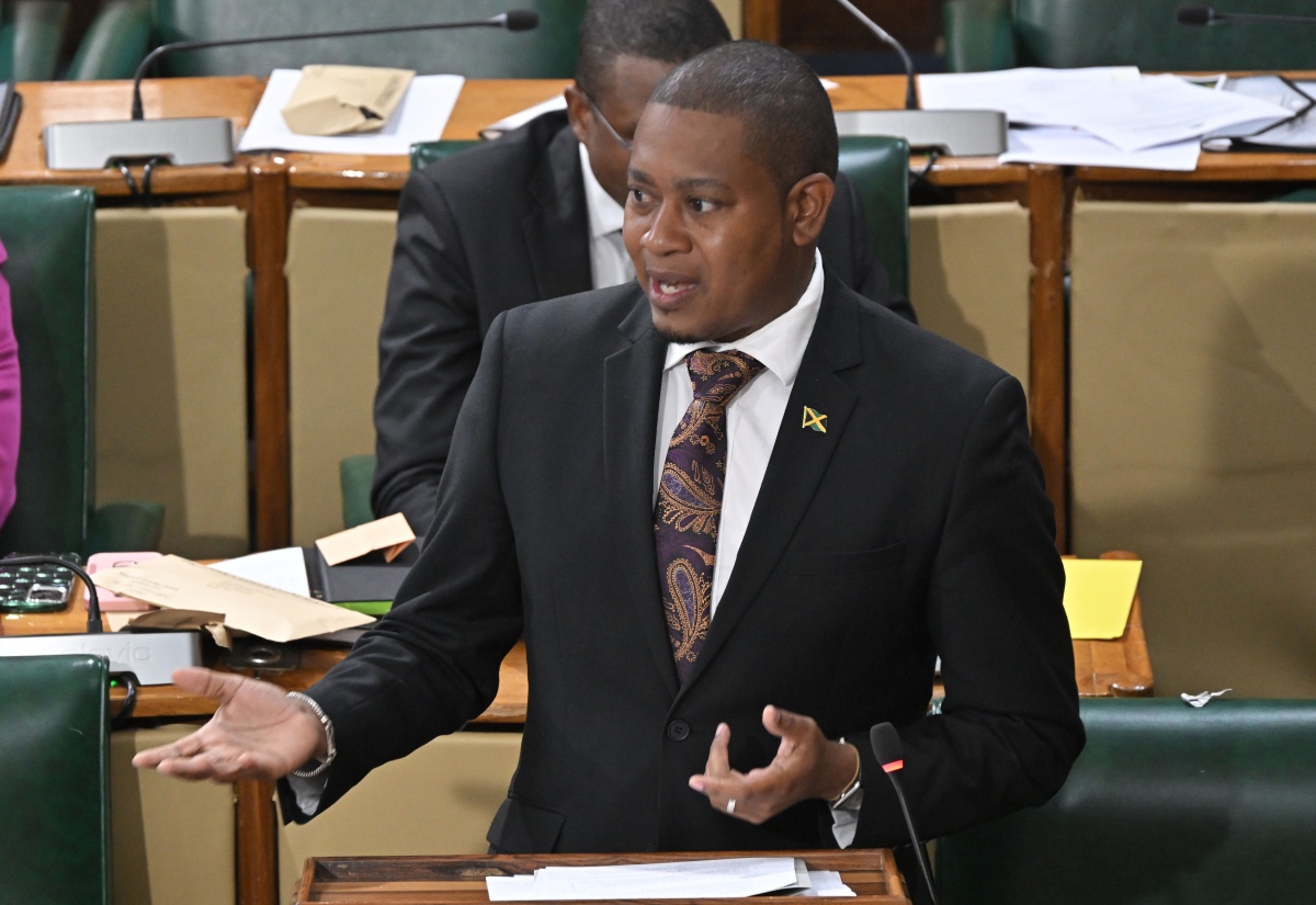 Government to Protect Household Food Security