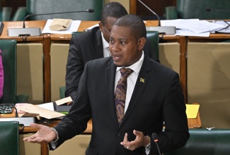 Minister of Agriculture, Fisheries and Mining, Hon. Floyd Green, makes a statement to the House of Representatives on Tuesday (November 11).


