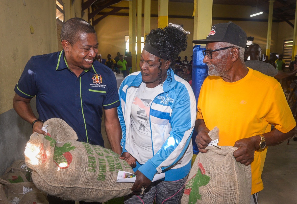 Ministry Of Agriculture Targets Less Affected Parishes In Short-term Recovery Plan