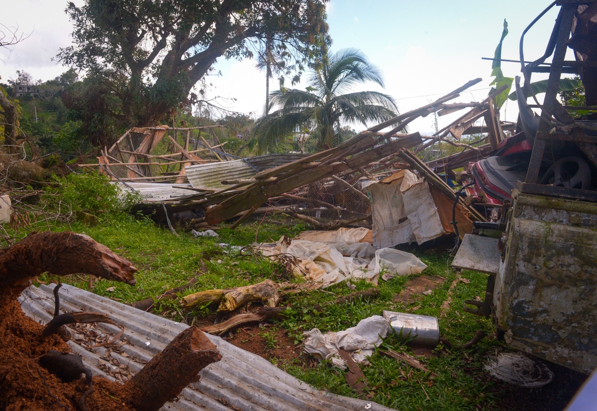 Ministry Of Agriculture Targets Less Affected Parishes In Short-term Recovery Plan