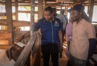 Minister of Agriculture, Fisheries and Mining, Hon. Floyd Green (left), is briefed by goat farmer, Delarno Small, during a farm tour in Bonnet District, Guys Hill, St. Catherine, on November 20. Also pictured are Minister of State in the Ministry of Culture, Gender, Entertainment and Sport and St. Catherine North Eastern Member of Parliament, Hon. Kerensia Morrison (second row, right); Councillor for the Guys Hill Division, Joseph Johnson (second row, left); and Rural Agricultural Development Authority (RADA) Chief Executive Officer, Garnet Edmondson (background).

