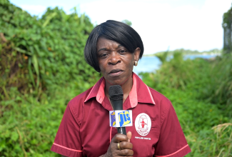 Parish Disaster Coordinator for Portland, Denise Lewis.