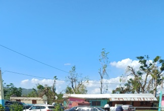 Staff of the St. Elizabeth Infirmary, located in Santa Cruz, St. Elizabeth, participate in clean-up activities at the facility on November 27.

