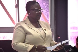 Acting Chief Public Health Inspector for St. James, Sherika Lewis, addresses the recent St. James Municipal Corporation monthly meeting in Montego Bay.
