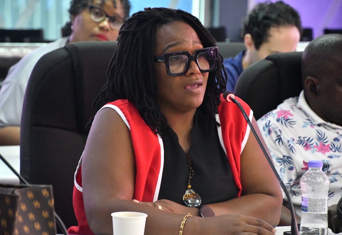 Emergency Chairperson for the Jamaica Red Cross St. James Branch, Colleen Lawson-Taylor, addresses a meeting of the Emergency Operations Centre held at the St. James Municipal Corporation on November 20.