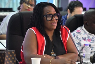 Emergency Chairperson for the Jamaica Red Cross St. James Branch, Colleen Lawson-Taylor, addresses a meeting of the Emergency Operations Centre held at the St. James Municipal Corporation on November 20.