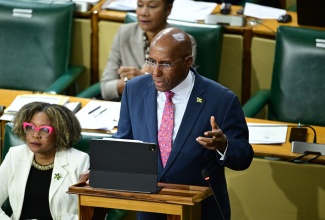 Minister of Industry, Investment and Commerce, Senator the Hon. Aubyn Hill, makes a point during his contribution to the Upper House on Friday (December 5).

