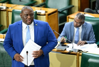Parliamentary Secretary in the Ministry of Education, Skills, Youth and Information, Senator Marlon Morgan addressing the sitting of the Senate on Friday (Dec. 5.)

