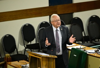 Minister of Justice and Constitutional Affairs, Hon. Delroy Chuck, addresses the House of Representatives on Tuesday (December 9).