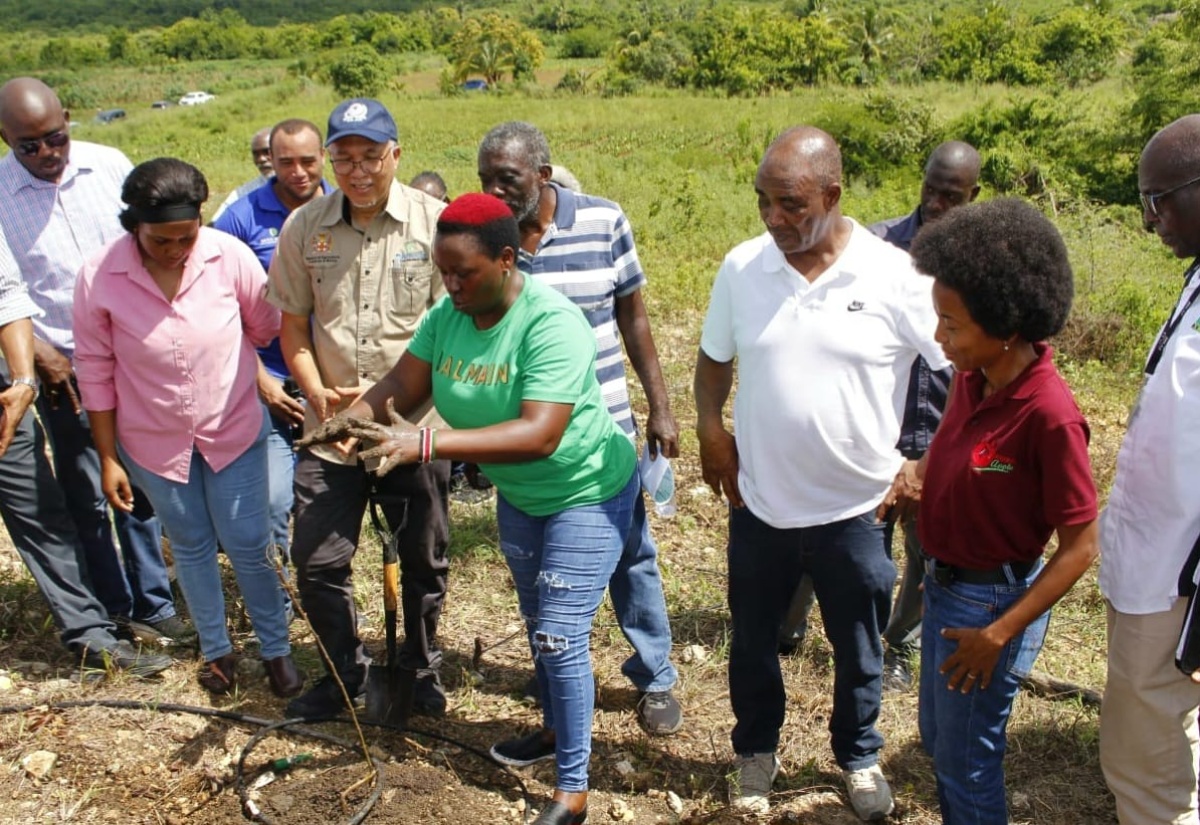 Youth Farmers Given Opportunity to Grow New Apple from Kenya