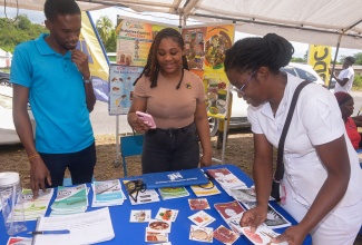 Clerical Officer in the Public Relations and Marketing Department of the Jamaica Information Service (JIS), Rushawn Wallace (left) and Special Projects Officer, JIS, Romona Geohaghan (centre), look on as a nurse plays a game of "balanced diet", where she  uses ingredients represented on cue cards to create a healthy meal. The occasion was the recent staging of the Lauriston/Thompson Pen Community 4-H Club