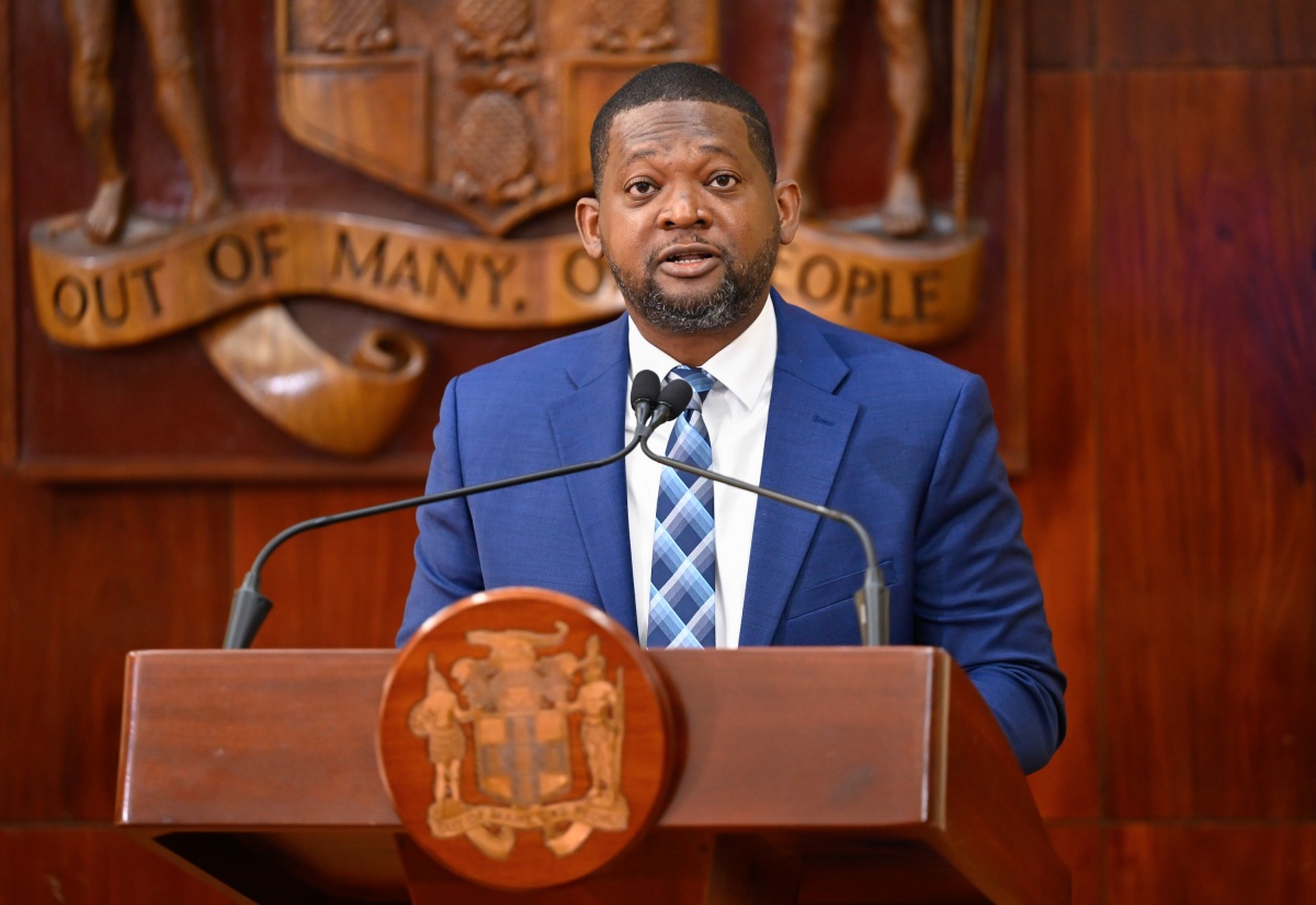 Director General, Office of Disaster Preparedness and Emergency Management (ODPEM), Commander Alvin Gayle, speaks at a post-Cabinet press briefing at Jamaica House on December 3.

