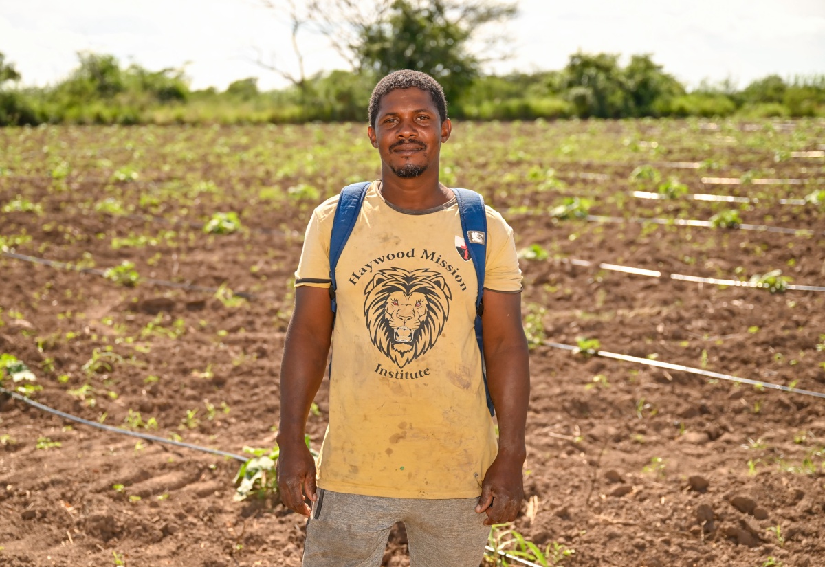 Farmers Back in the Field at Parnassus Agro-Park