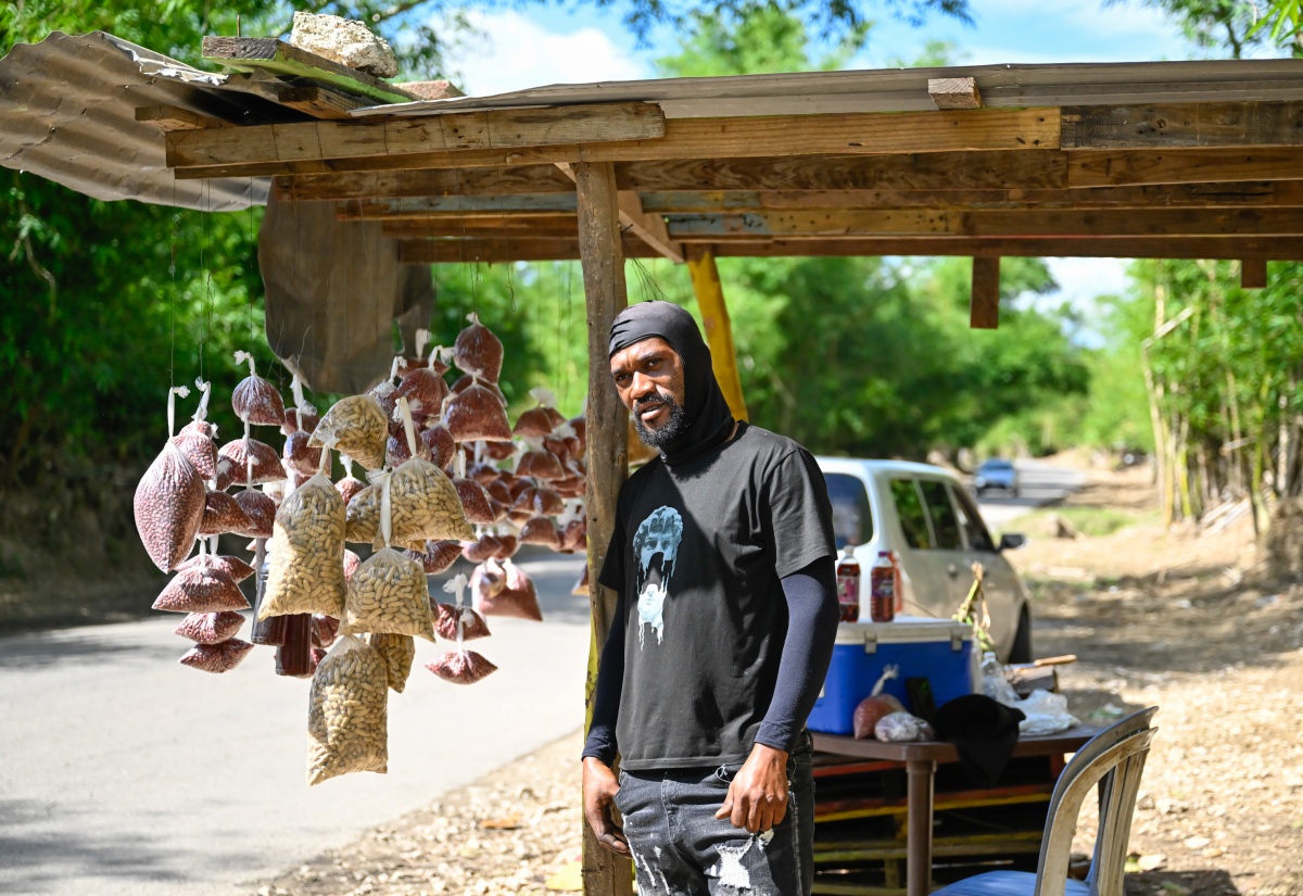 Popular Holland Bamboo Coconut Vendor Resumes Trade