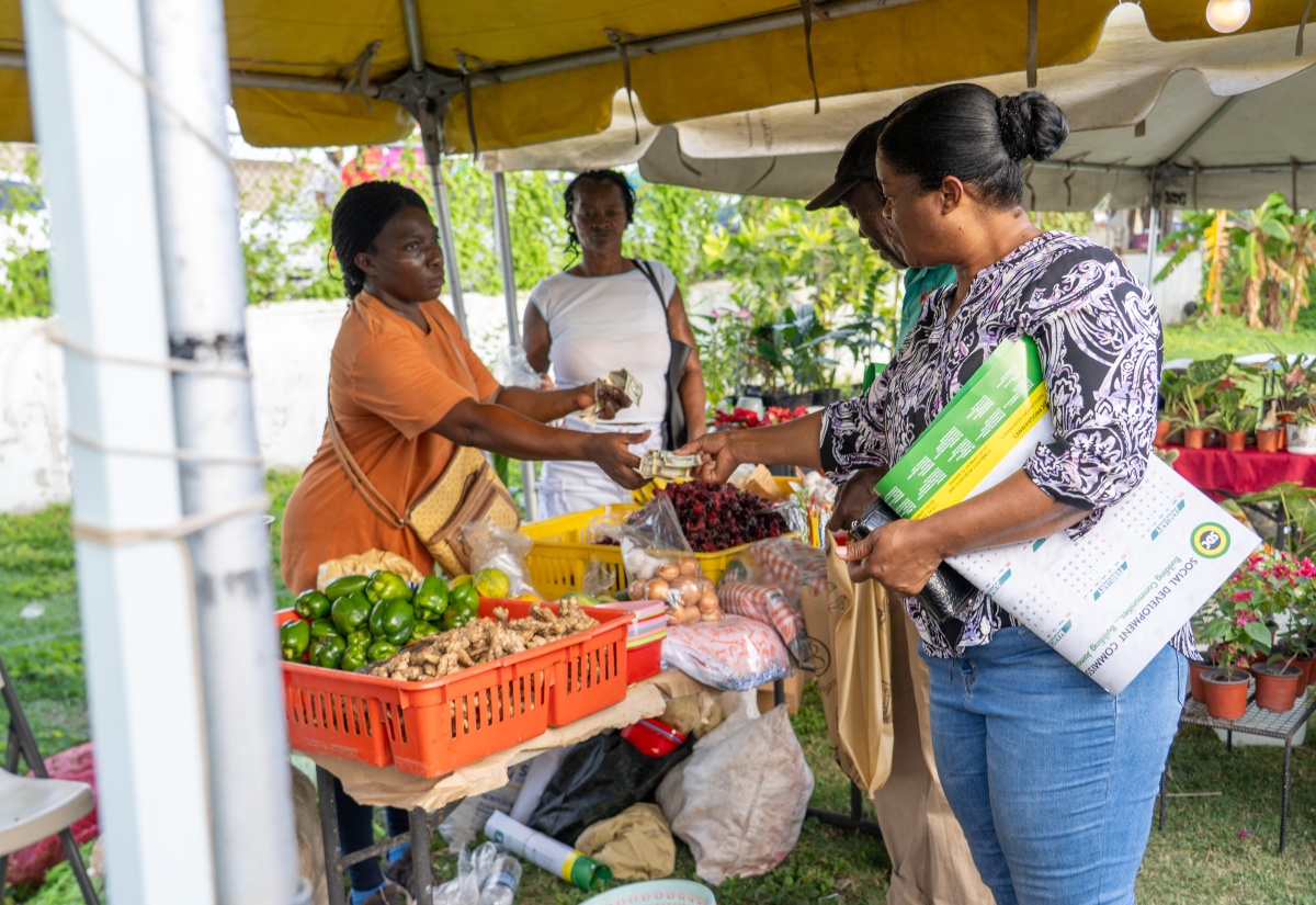 Patrons explore and support entrepreneurs at a Social Development Commission (SDC)-hosted Economic Village.

