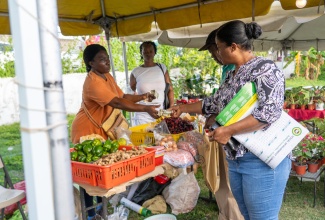Patrons explore and support entrepreneurs at a Social Development Commission (SDC)-hosted Economic Village.

