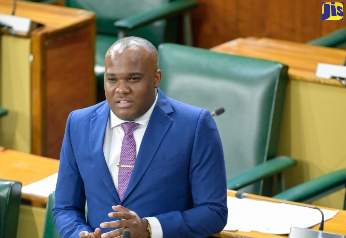 30-Year Low In Murders Proof Of Govt’s Commitment To Creating Safer Society- Senator Fitz-Henley