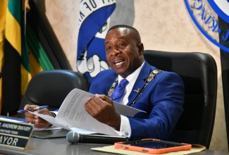 Mayor of Kingston, Councillor Andrew Swaby.

