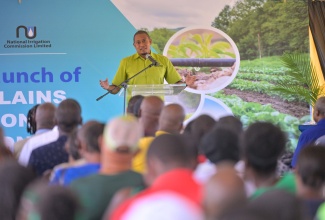 Minister of Agriculture, Fisheries and Mining, Hon. Floyd Green.
