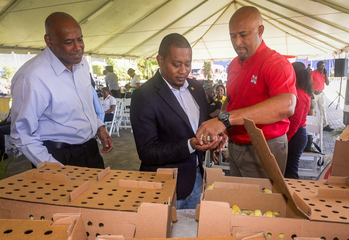 Agriculture Ministry Receives $5.5M Hurricane Melissa Relief Inputs from Hi-Pro