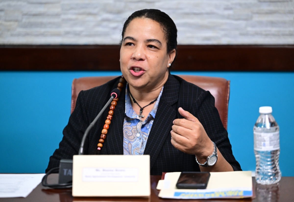 RADA Takes Pop-Up Vet Clinic to Trelawny