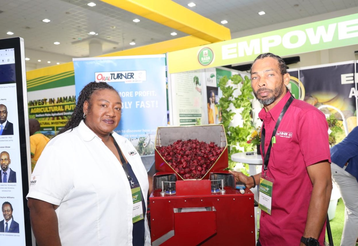 Jamaican Inventors Turn Local Sorrel Challenge into Global Solution