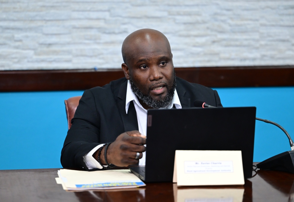 Senior Director for Production, Marketing and Special Projects, Rural Agricultural Development Authority (RADA), Xavier Charvis,  addresses the second of  four RADA Recovery & Resilience Stakeholder sessions, held at the offices of the Ministry of Agriculture,  Fisheries and Mining at Hope Gardens, on December  8. 

