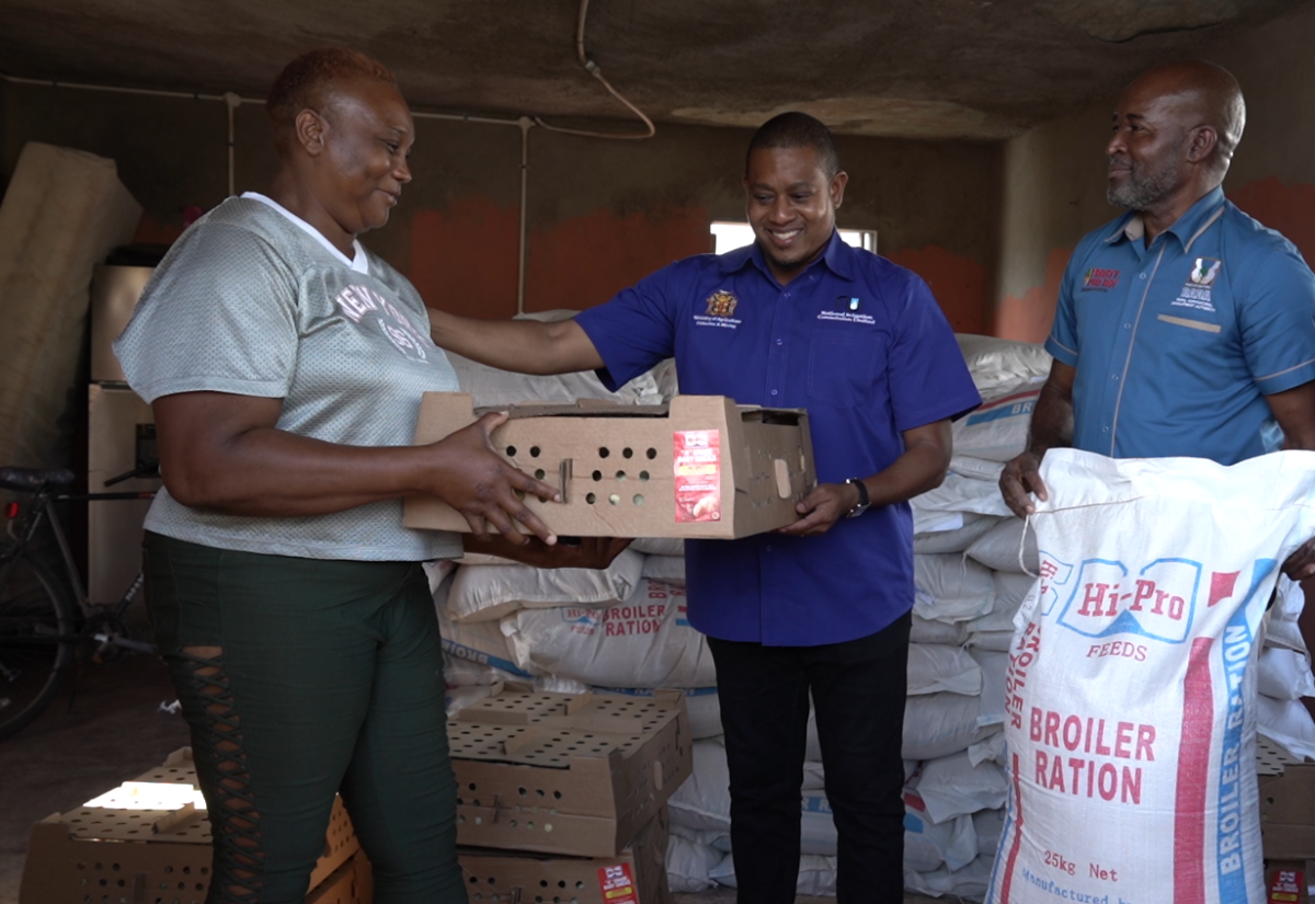 Minister of Agriculture, Fisheries and Mining, Hon. Floyd Green (centre), presents chickens and feed to Holland-based farmer, Claudeen Johnson (left), during a handover ceremony for broiler chickens and feed, held in Holland Village, St. Elizabeth, on Tuesday (December 16). Also participating is Chief Executive Officer of the Rural Agricultural Development Authority (RADA), Garnet Edmondson.  

