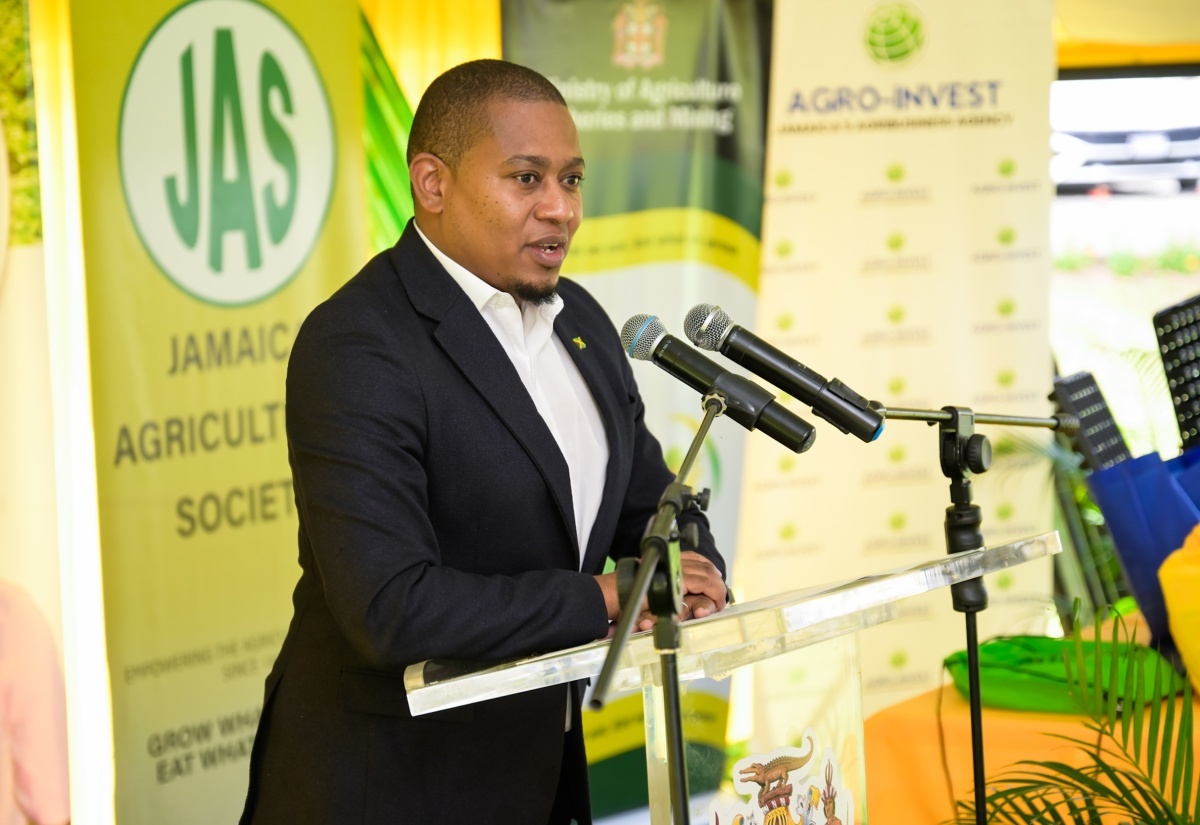 Minister Green Hails Farmers’ Resilience in Driving Post-Hurricane Agricultural Recovery