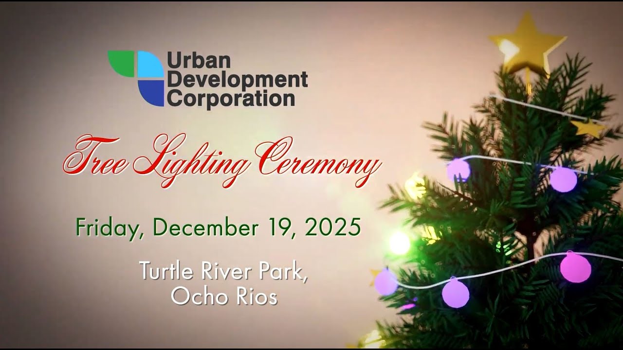 JISTV | Christmas Magic in Ocho Rios | Turtle River Park Tree Lighting