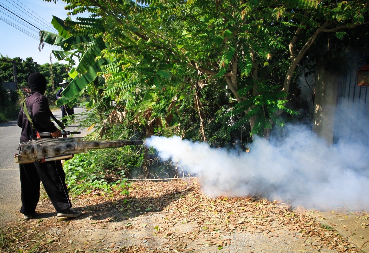 Fogging being conducted to destroy mosquito breeding site.

