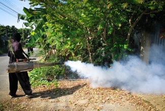 Fogging being conducted to destroy mosquito breeding site.


