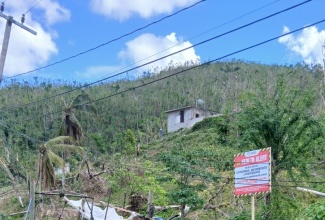 A warning sign erected by the Westmoreland Public Health Department at a stream in the parish. 

