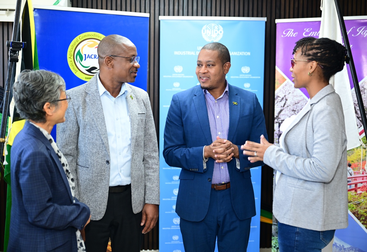 Coffee Farmers to Get Chainsaws to Clear Debris and Restore Access to Farms