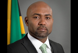 Minister without Portfolio in the Office of the Prime Minister with responsibility for Science, Technology and Special Projects, Dr. the Hon. Andrew Wheatley.

