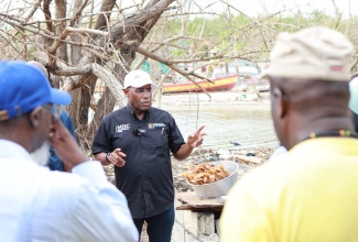 Minister of Industry, Investment and Commerce, Senator the Hon. Aubyn Hill, engages vendors during a tour of the Border Business Kiosks in St. Elizabeth, during the development phase of the project.

