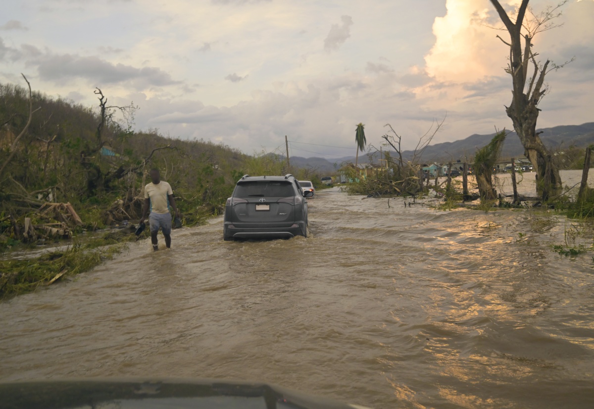 Leptospirosis: What You Need to Know